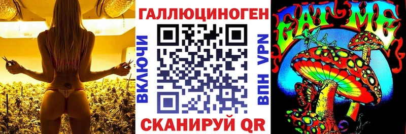 Псилоцибиновые грибы GOLDEN TEACHER  Бокситогорск 
